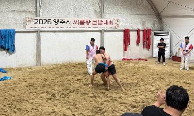 영주시 대표 씨름왕 가렸다… 전통 스포츠 열기 '후끈' 