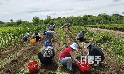 농업체험학교 신청해서 농업을 체험해보세요