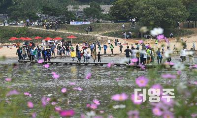 ‘무섬, 시간을 건너 사람을 잇다’…2026영주 무섬외나무다리축제 개최